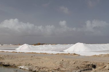 Karayip tuz gölü madencilik işi Bonaire Adası Hollanda Antilleri