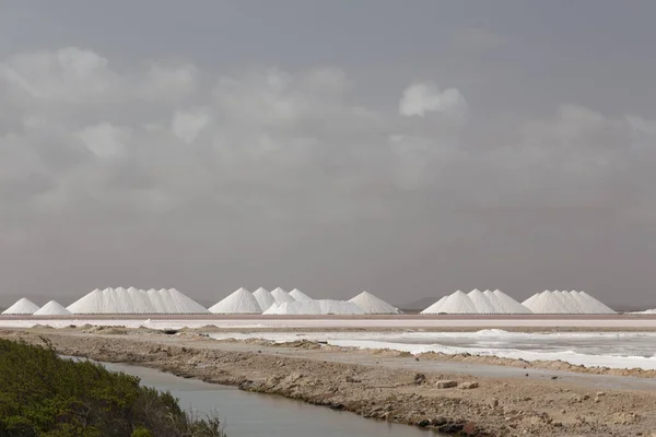 Caribbean Salt Lake Mining Work Ilha Bonaire Antilhas Holandesas — Fotografia de Stock