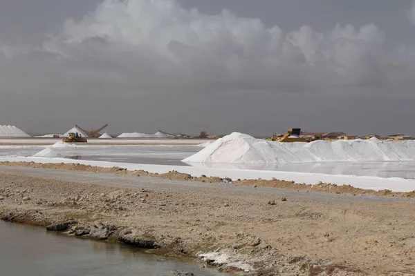 Caribbean Salt Lake Mining Work Bonaire Island Netherlandes Antilles — Stock Photo, Image