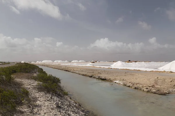 Karayip Tuz Gölü Madencilik Işi Bonaire Adası Hollanda Antilleri — Stok fotoğraf