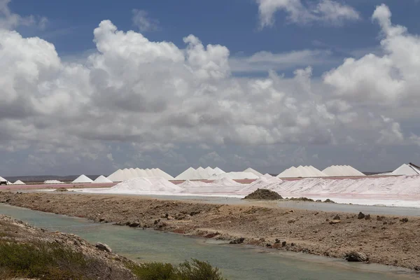 Caribbean Salt Lake Mining Work Ilha Bonaire Antilhas Holandesas — Fotografia de Stock