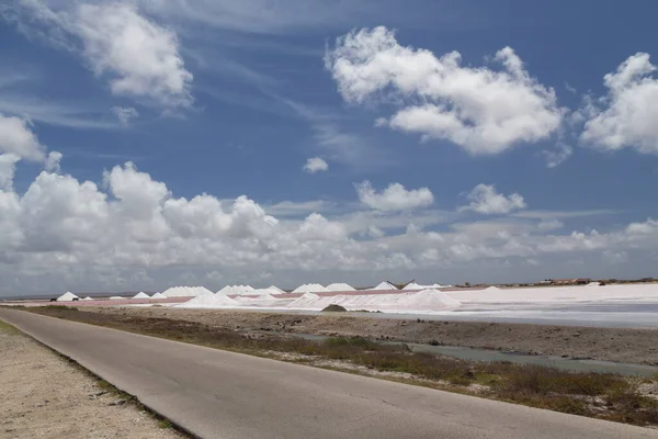 Caribbean Salt Lake Mining Work Bonaire Island Netherlandes Antilles — Stock Photo, Image