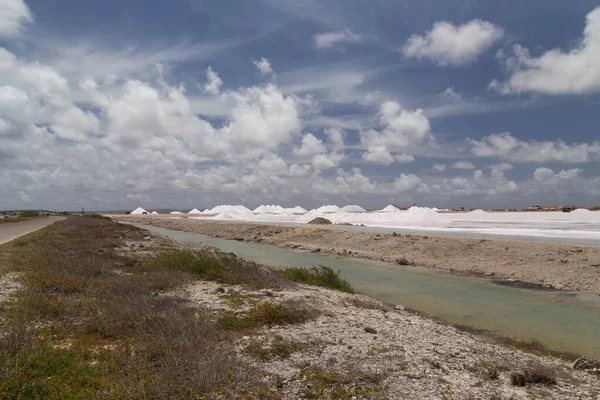 Μεταλλευτικές Εργασίες Λίμνες Αλατιού Της Καραϊβικής Νήσος Μποναίρ Ολλανδικές Αντίλλες — Φωτογραφία Αρχείου
