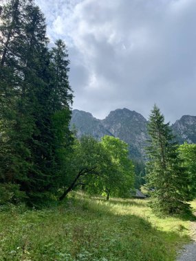 Güzel dağ manzaraları tırmanıyor Zakopane Polonya 'da yürüyüş yapıyor Slovakya Tatry
