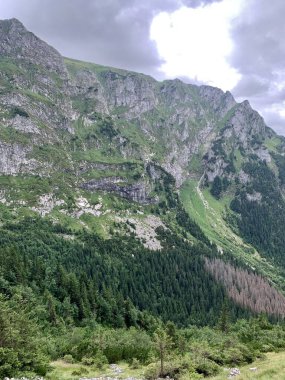 Güzel dağ manzaraları tırmanıyor Zakopane Polonya 'da yürüyüş yapıyor Slovakya Tatry