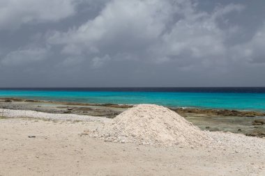 Deniz sahili tropik Bonaire adası Karayipler denizi