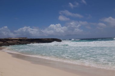 Deniz sahili tropik Bonaire adası Karayipler denizi
