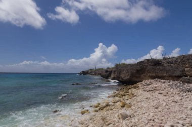 Deniz sahili tropik Bonaire adası Karayipler denizi