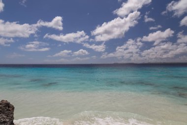 Deniz sahili tropik Bonaire adası Karayipler denizi