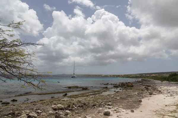 Sea Beach Coast Tropical Bonaire Island Caribbean Sea — Stock Photo, Image