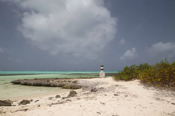 Θάλασσα Ακτή Τροπική Bonaire Νησί Καραϊβική Θάλασσα — Φωτογραφία Αρχείου