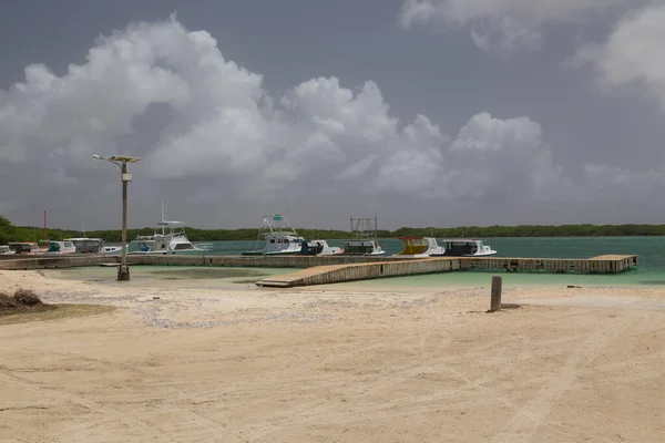 Deniz Sahili Tropik Bonaire Adası Karayipler Denizi — Stok fotoğraf