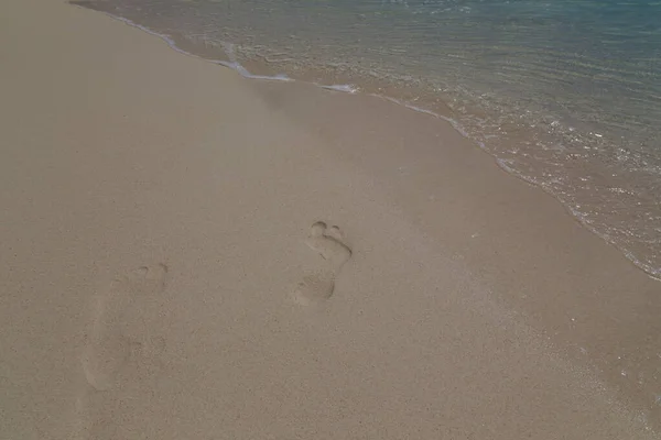 Zee Strand Kust Tropisch Bonaire Eiland Caribische Zee — Stockfoto