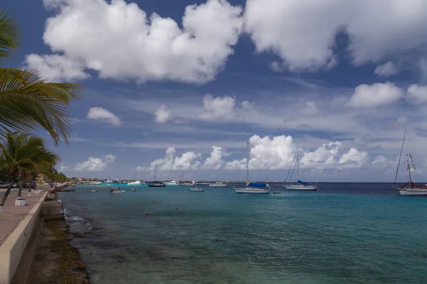 Meer Strand Küste Tropische Bonaire Insel Karibik Meer — Stockfoto