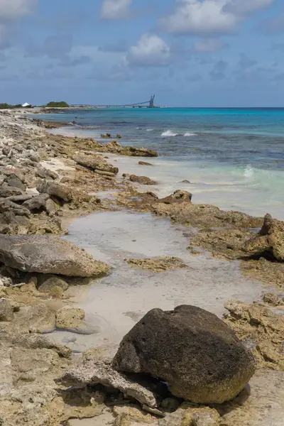 Morze Plaża Wybrzeże Tropikalny Bonaire Wyspa Karaiby Morze — Zdjęcie stockowe