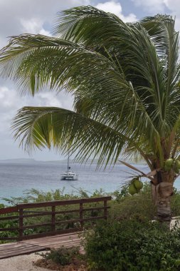 Deniz sahili tropik Bonaire adası Karayipler denizi