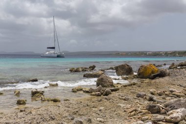 Deniz sahili tropik Bonaire adası Karayipler denizi