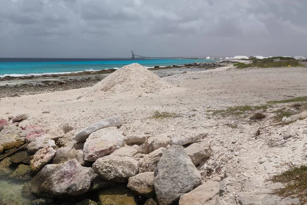 Θάλασσα Ακτή Τροπική Bonaire Νησί Καραϊβική Θάλασσα — Φωτογραφία Αρχείου