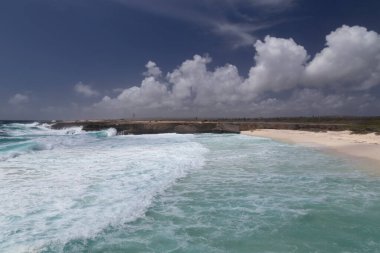 Deniz sahili tropik Bonaire adası Karayipler denizi
