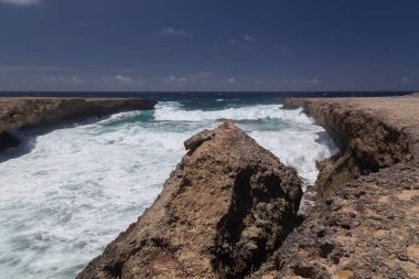 Deniz sahili tropik Bonaire adası Karayipler denizi