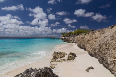 Deniz sahili tropik Bonaire adası Karayipler denizi