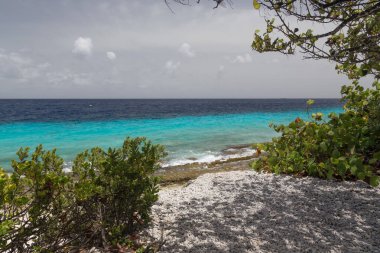 Deniz sahili tropik Bonaire adası Karayipler denizi