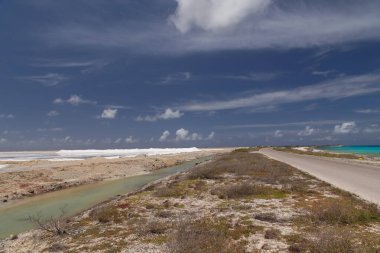 Deniz sahili tropik Bonaire adası Karayipler denizi