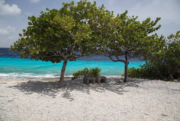 海岸热带博内尔岛加勒比海 — 图库照片