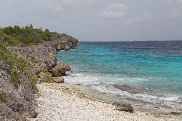 Θάλασσα Ακτή Τροπική Bonaire Νησί Καραϊβική Θάλασσα — Φωτογραφία Αρχείου