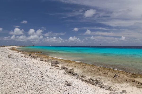 Kitesurfing Karib Tenger Bonaire Sziget Vízi Sport — Stock Fotó