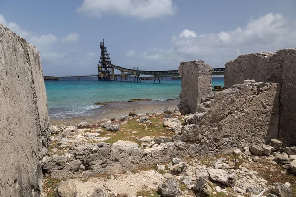 Caribe Playa Casa Costa Tropical Bonaire Isla Mar Caribe — Foto de Stock