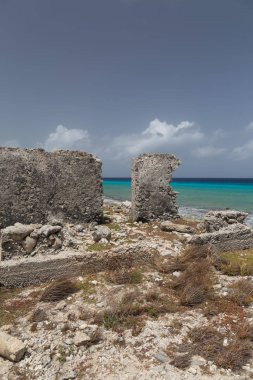 Karayiplerdeki sahil evi tropik Bonaire adası Karayipler denizi