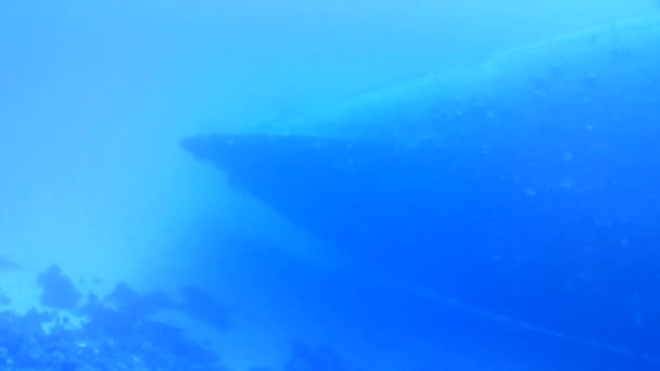Каріббовий Острів Бонайре Під Водою Пірнаючі Дайвери Відео — стокове відео
