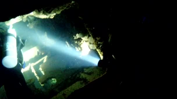 Vida Coralina Caribe Mar Bonaire Isla Buceo Submarino Buzos Video — Vídeos de Stock