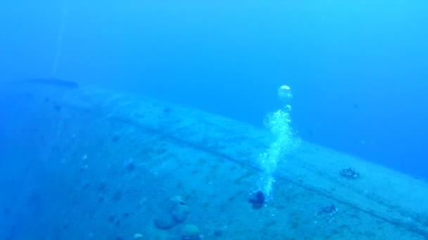 Vida Coralina Caribe Mar Bonaire Isla Buceo Submarino Buzos Video — Vídeos de Stock