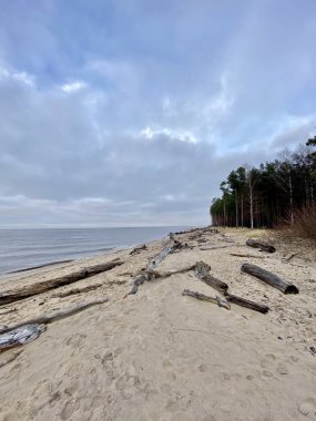 Gauja Nehri Letonya Baltık Denizi 'ne akıyor