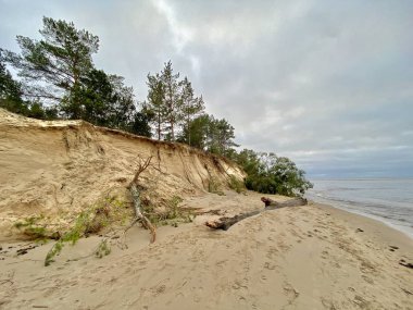 Gauja Nehri Letonya Baltık Denizi 'ne akıyor