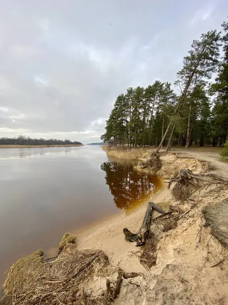 Gauja Älv Lettland Rinner Östersjön — Stockfoto