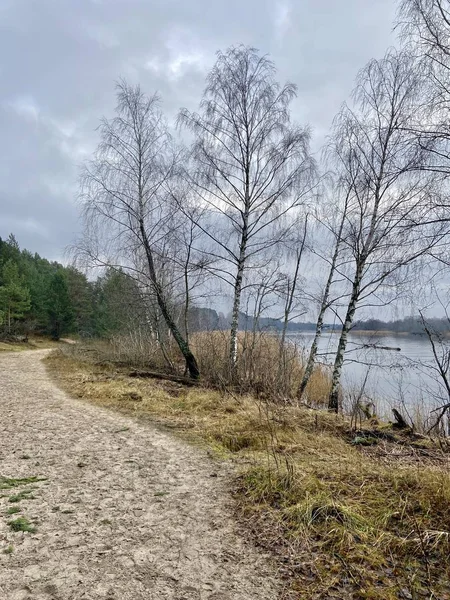 Gauja Nehri Letonya Baltık Denizi 'ne akıyor