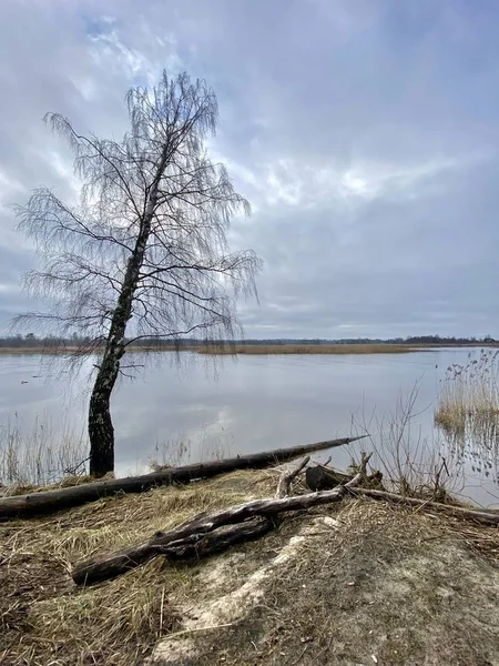 Gauja Fluss Lettland Mündet Ostsee — Stockfoto