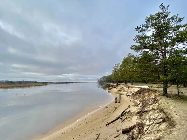 Gauja Fluss Lettland Mündet Ostsee — Stockfoto