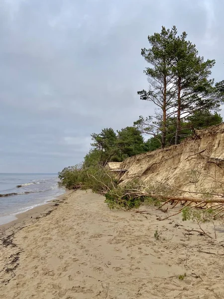 Fiume Gauja Lettonia Sfocia Nel Mar Baltico — Foto Stock
