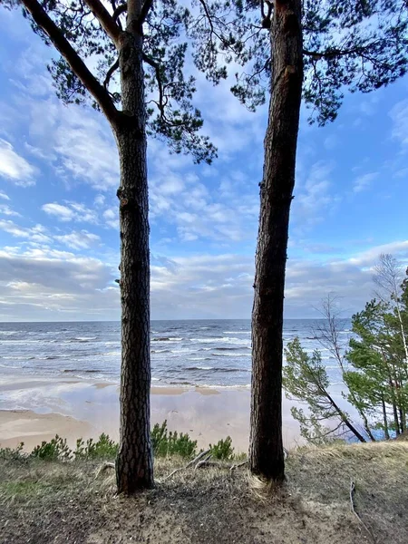 Morze Bałtyckie Jesienne Wybrzeże Morze Plaża Saulkrasti Łotwa — Zdjęcie stockowe