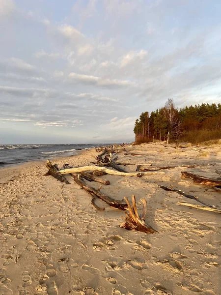Ποταμός Gauja Λετονίας Αποστραγγίζεται Στη Βαλτική Θάλασσα — Φωτογραφία Αρχείου
