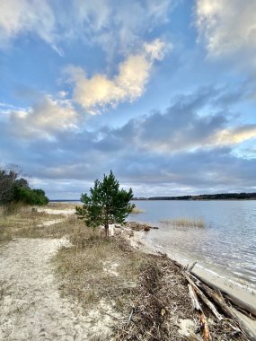 Baltık Denizi sonbahar plajı Bolderaja Riga Letonya 