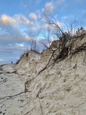 Baltık Denizi sonbahar plajı Bolderaja Riga Letonya 