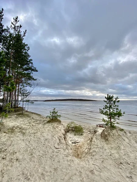 Mar Báltico Costa Otoño Playa Bolderaja Riga Letonia —  Fotos de Stock