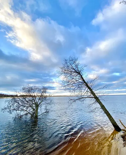 Берег Балтійського Моря Більдерая Рига Латвія — стокове фото