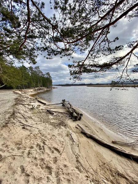 Mar Báltico Costa Otoño Playa Carnikava Río Gauja Letonia —  Fotos de Stock