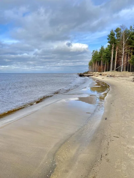Baltische Zee Herfststrand Carnikava Gauja Rivier Letland — Stockfoto